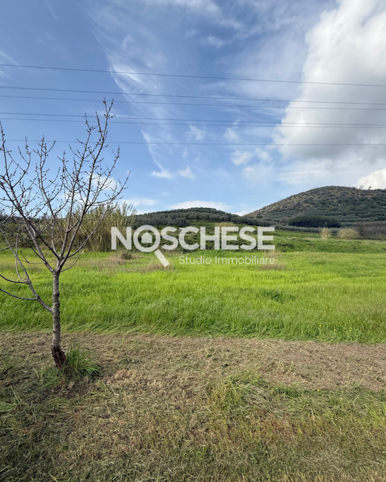 SALERNO, Loc. Fuorni, TERRENO AGRICOLO di 20.000mq ca con DEPOSITO di 30mq ca ed accesso dall’Arteria principale che collega SALERNO ai MONTI PICENTINI